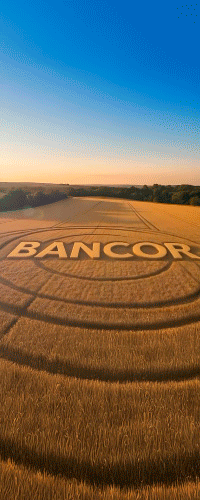bancor