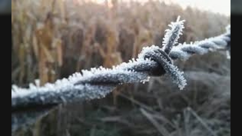  Las heladas dominaron este martes la provincia: los 30 lugares más fríos en Córdoba