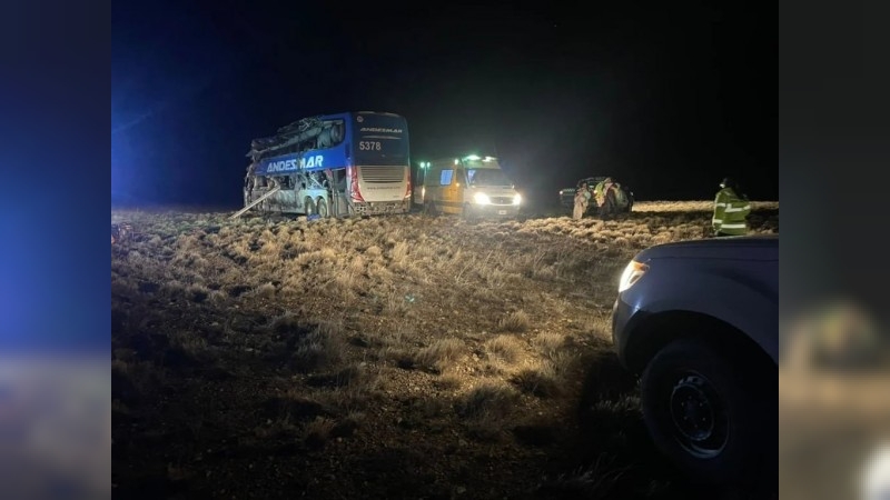 Choque fatal entre un camión y un colectivo en Santa Cruz: al menos tres muertos y varios heridos