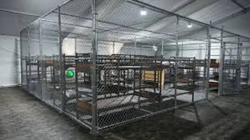 Estados Unidos comienza a deportar migrantes desde Alligator Alcatraz
