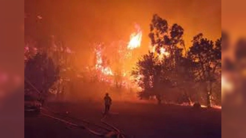 Incendio forestal arrasó más de 16.000 hectáreas en el sur de Francia