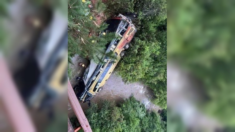 Tragedia en Misiones: un micro cayó a un arroyo y provocó al menos 7 muertes