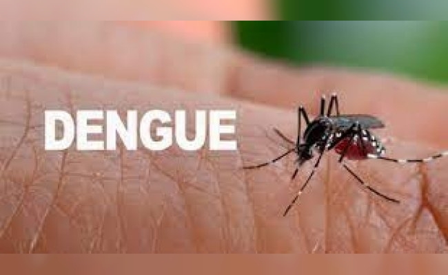 Confirman el primer caso de DENGUE en la ciudad de Morteros