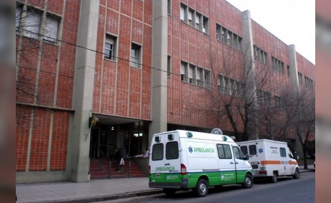 Un pitbull cruza con dogo atacó a un niño de 2 años