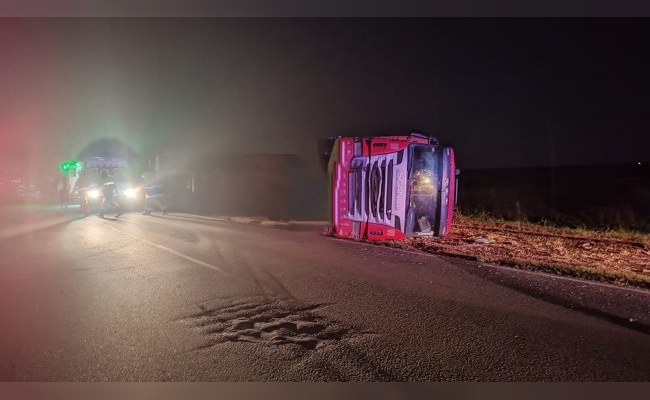 Camión volcó tras colisionar con un equino en medio de la ruta