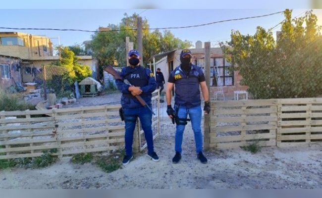 Desbaratan plantación de marihuana en Puerto Madryn