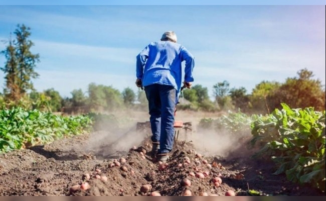 Entidades empresarias y del agro insisten en pedir rebaja de tasa para el cálculo de indemnizaciones