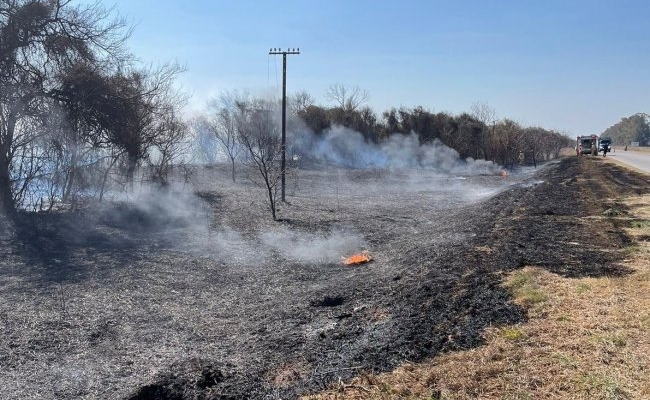 Incendio Forestal en Ruta Provincial N°1