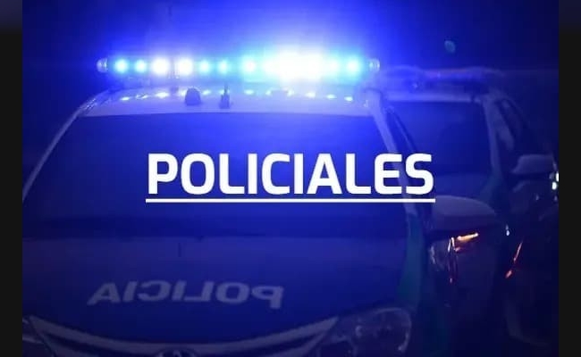 En un carro llevaban de todo: no pudieron justificar su procedencia
