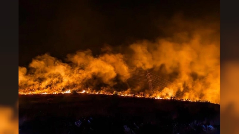 Los incendios forestales en la región occidental de Paraguay arrasaron más de 84.000 hectáreas