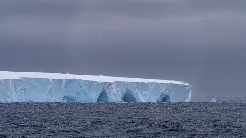 El iceberg más grande del mundo se desprendió y navega por el océano: qué impacto tendrá