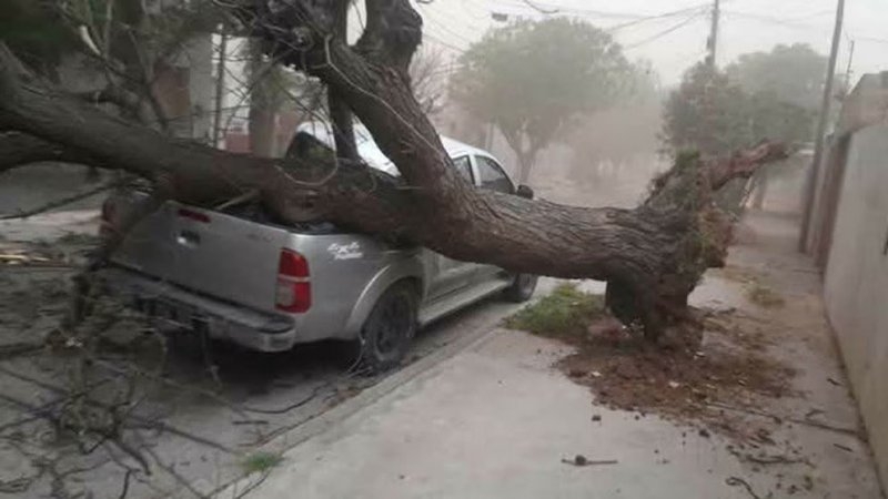 Un fuerte temporal azotó San Luis: dejó grandes destrozos, cortes de luz y árboles caídos