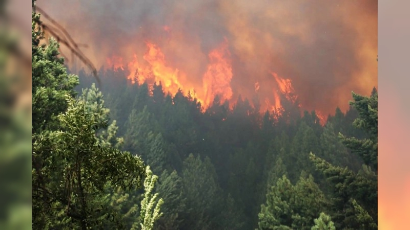 En pocas horas, el incendio forestal de Epuyén consumió dos mil hectáreas: evacuaron 200 viviendas