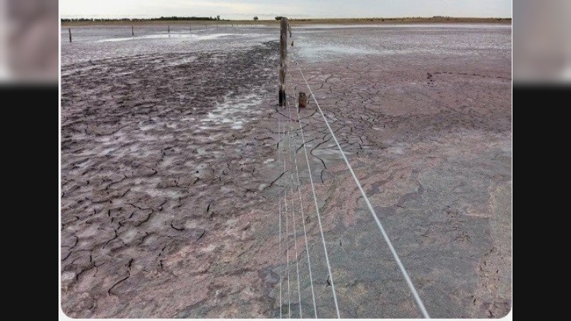 Por las altísimas temperaturas y escasas lluvias se secó una laguna en el sur provincial