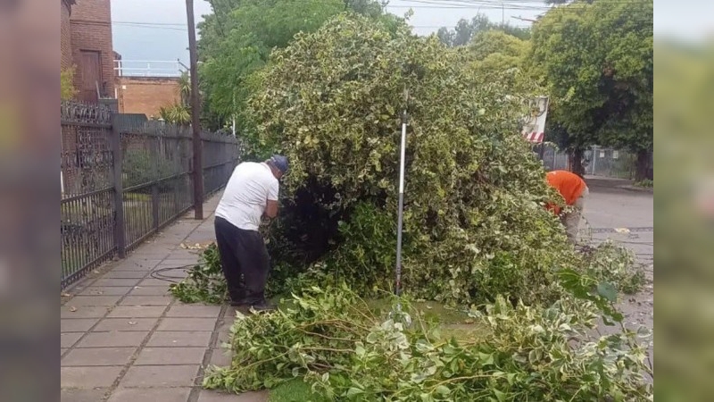 Villa Carlos Paz: pasó un temporal con fuertes vientos y dejó árboles caídos