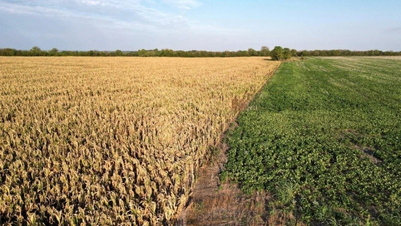 Referentes del campo argentino destacaron la baja de las retenciones por parte del Gobierno