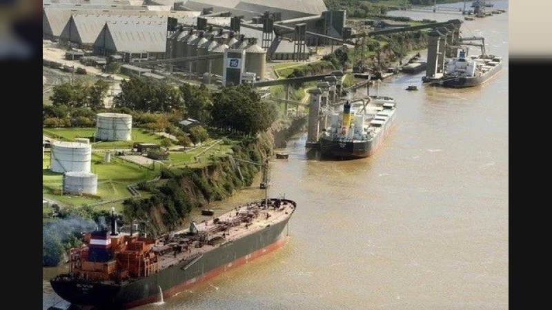 Las exportaciones agroindustriales crecieron 56% en volumen en 2024