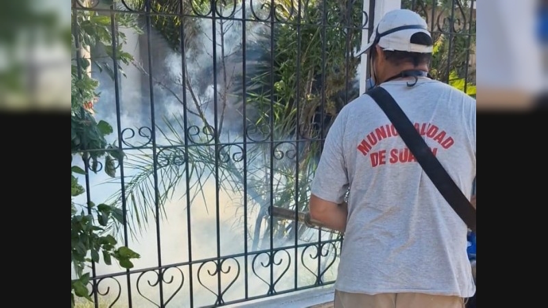 Suardi: Se continúa trabajando en la prevención del dengue