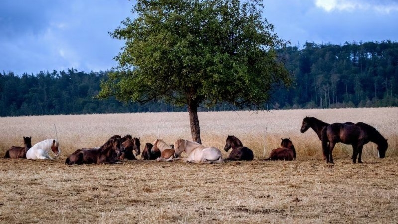 Morteros registró la temperatura más alta en la provincia