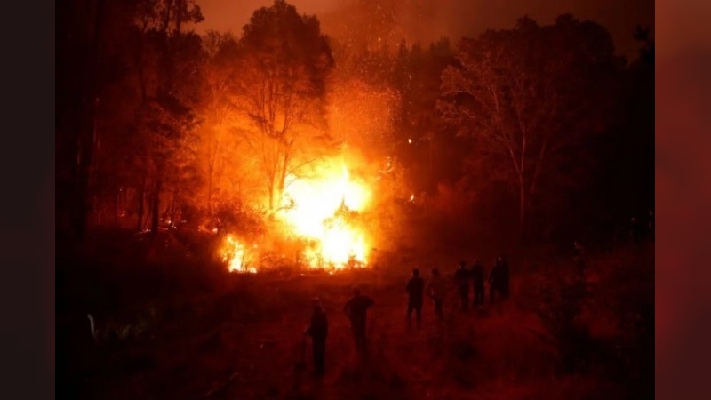 Chile enfrenta 22 incendios forestales en plena temporada de verano