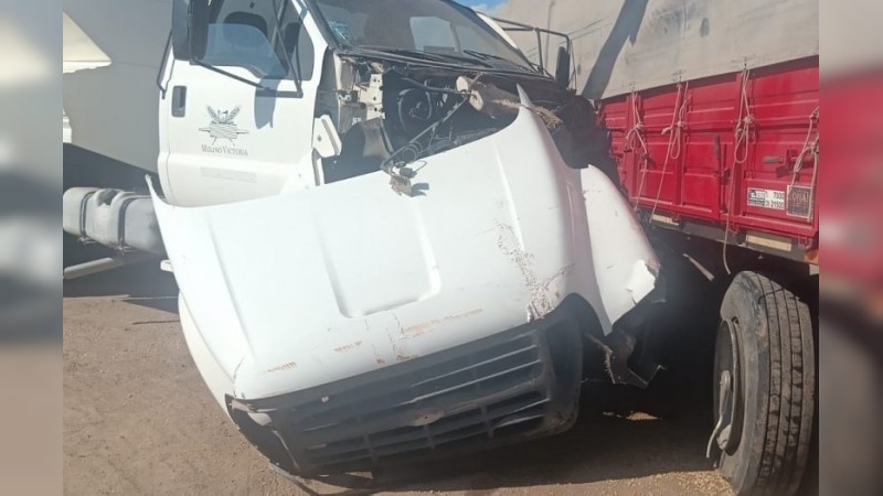 Choque de camiones en zona rural de Freyre