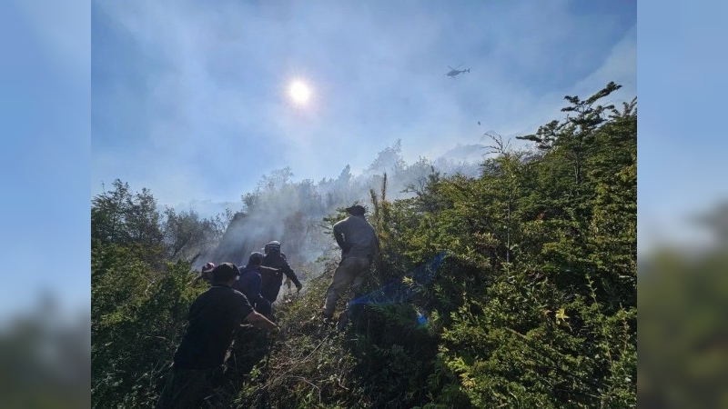 El incendio en el Parque Nacional Lanín sigue activo, en el Nahuel Huapi avanza sin control y en El Bolsón continúan los trabajos de limpieza