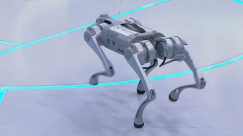 Perros robots, la nueva tendencia en seguridad que llega a Córdoba