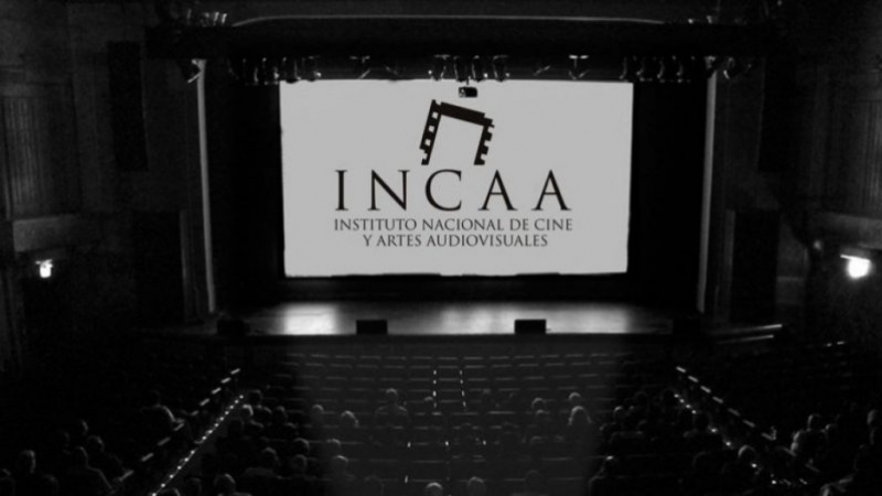 INCAA: gastan más de 250 mil dólares en el mantenimiento de su página web