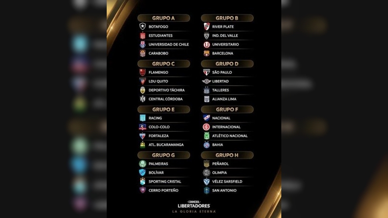 Copa Libertadores: River irá a la altura, mientras que Estudiantes comparte grupo con Botafogo