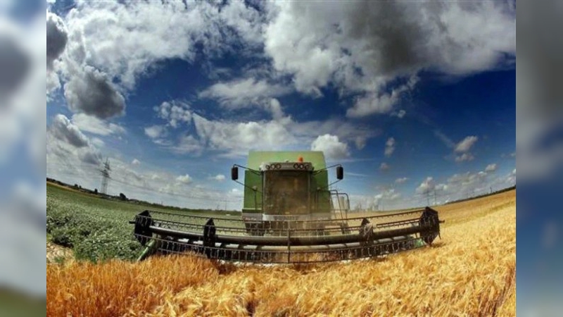 Tras la baja de retenciones, la presión impositiva en la renta agrícola cayó al menor nivel en cinco años