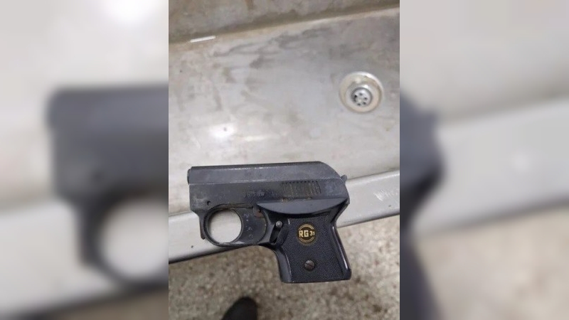 Pánico en Mar del Plata: un estudiante fue con un arma de fuego a la escuela