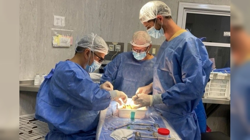 Primer trasplante renal en Córdoba con el uso de máquinas de perfusión hipotérmicas