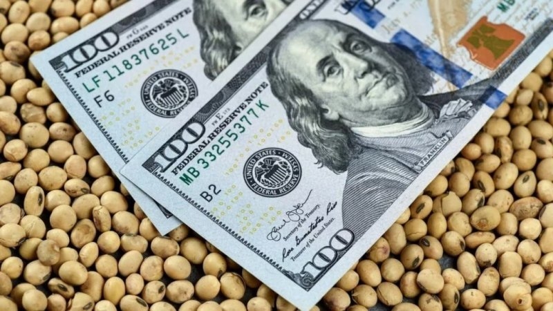 La agroindustria aportó el 92% de las divisas netas que ingresaron al país en los últimos cinco años