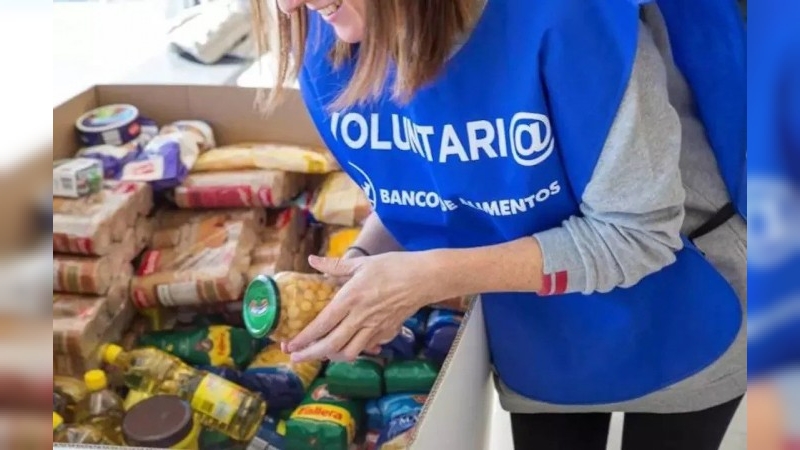 Se desechan más de 16 toneladas de alimentos por año: proponen una ley para frenar el desperdicio de comida