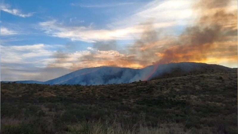Bomberos contuvieron un incendio forestal en La Calera