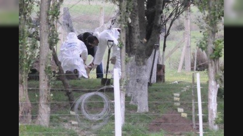 Buscaban a un bebé y lo encontraron muerto y con mordeduras
