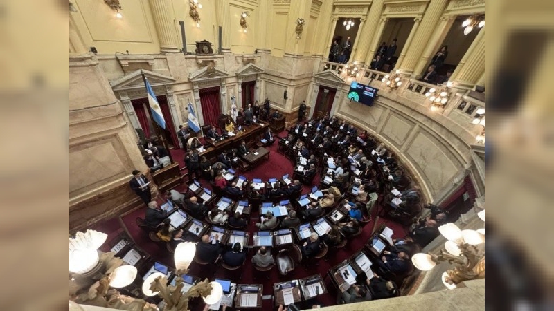 Por abrumadora mayoría, el Senado sancionó la emergencia en pediatría con foco en el Garrahan