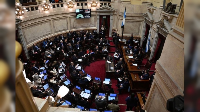 El Senado reactivará la emergencia en discapacidad, pero se abrió una puja entre los bloques por el temario
