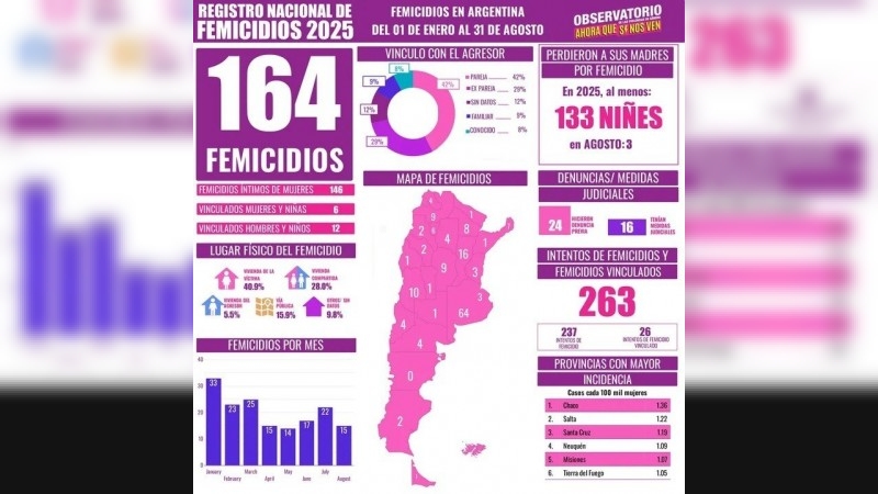Alarmante dato: hubo 164 femicidios en lo que va del 2025