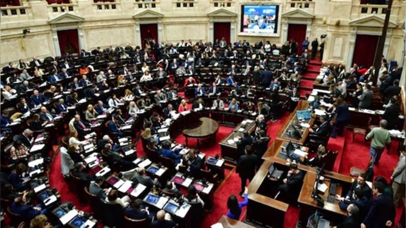 Diputados rechazó los vetos a la Ley de Financiamiento Universitario y de Emergencia Pediátrica