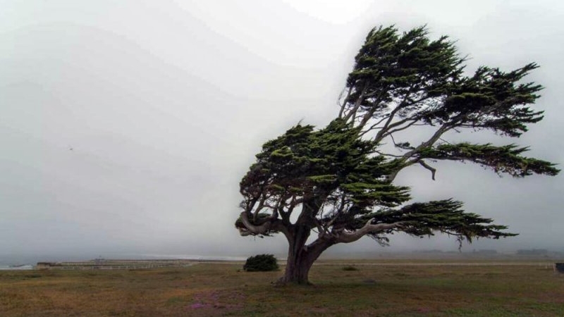 Alerta por fuertes vientos en San Francisco: la UTN advierte ráfagas de hasta 80 km/h y pide extremar las precauciones