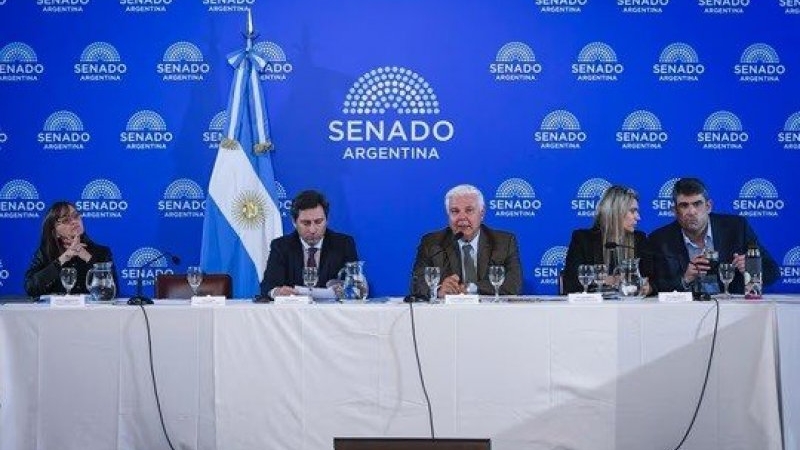 El Senado inicia el debate del Súper RIGI para atraer inversiones en tecnología y minerales críticos